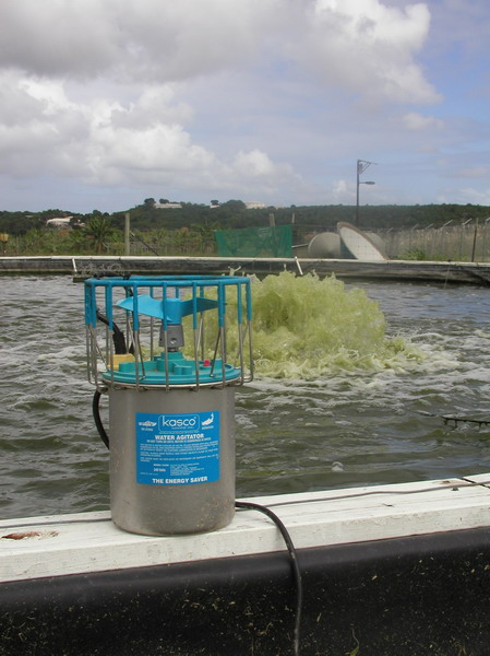 Aerator for the biofloc tank